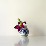 Fotografie verblühtes Blumenstillleben rote Tulpe in kleiner Zwiebelmustervase