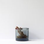 Fotografie verblühtes Blumenstillleben Fliederblüte in grauem Glas